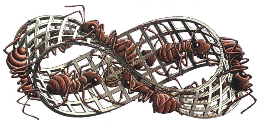 Anillo de Moebius y hormigas del artista neerlandés M. C. Escher